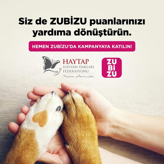 ZUBİZU Ödül Puanlarınızı HAYTAP ile Mamaya Dönüştürün, Patili Dostlarımıza Yardım Edin!